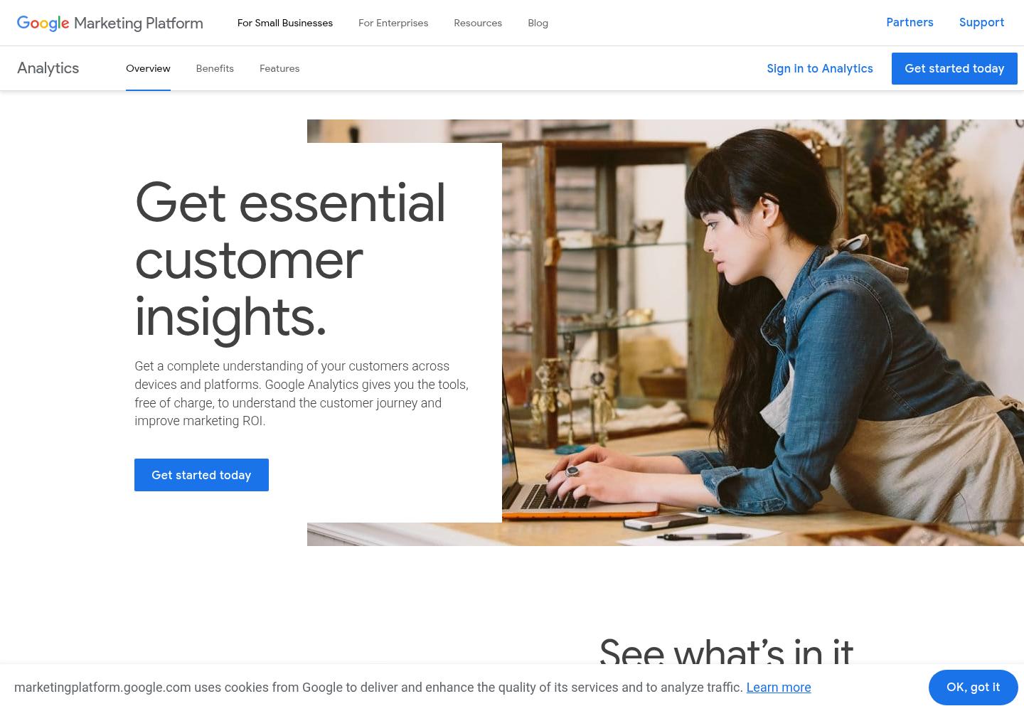Zrzut oficjalnej strony Google Analytics